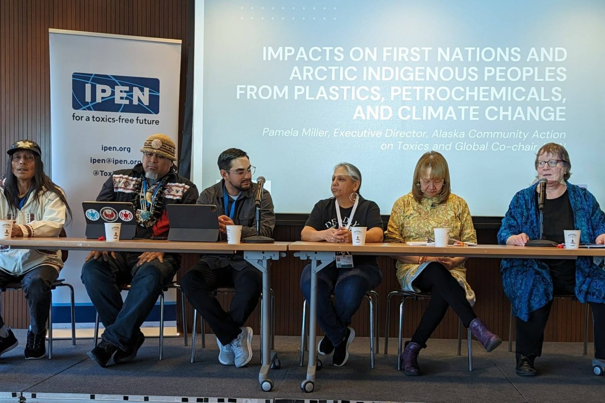 panel members at INC4 briefing